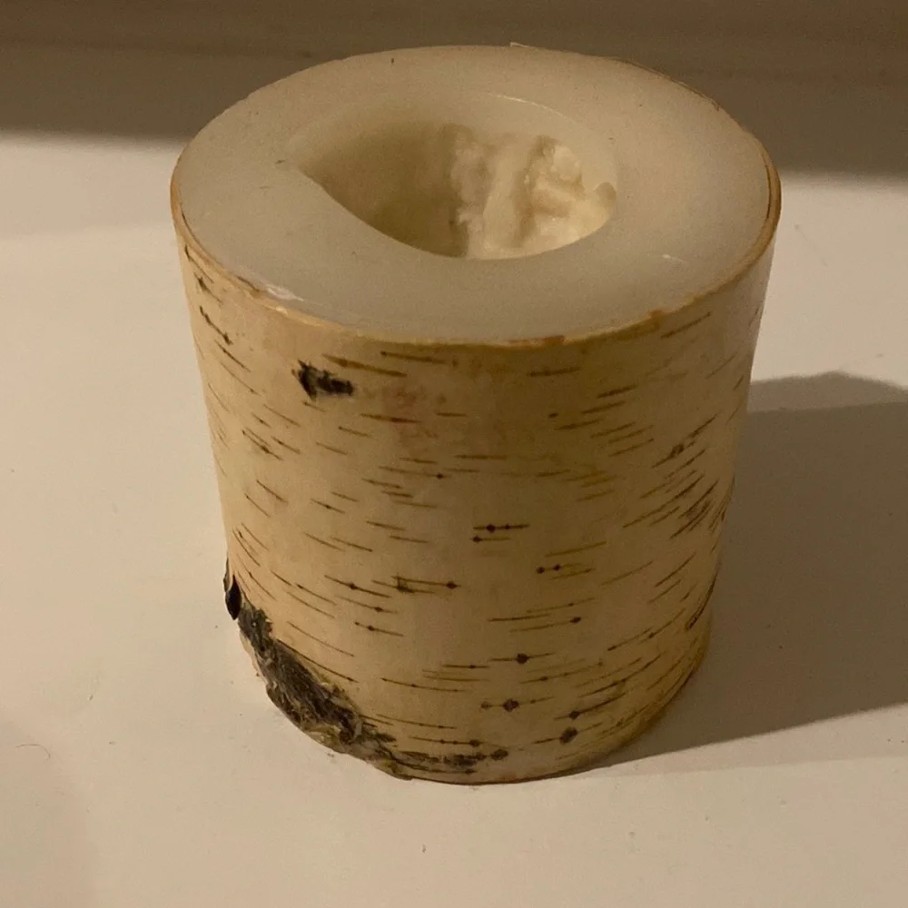 Pottery Barn Birch Bark Pillar Candle 4x4